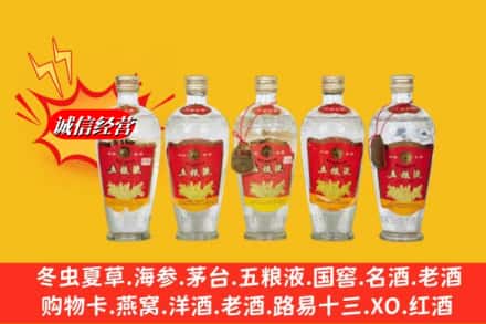 洛阳市回收老五粮液