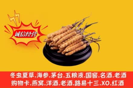 洛阳市求购回收虫草多少钱每克